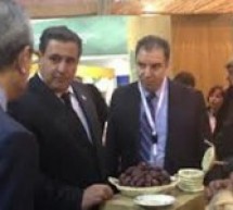 برلين- مساهمة المهاجرين في التنمية الاقتصادية والاجتماعية لألمانيا برلين- مساهمة المهاجرين في التنمية الاقتصادية والاجتماعية لألمانيا