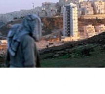 “يديعوت”: زيادة عدد المستوطنين فى الضفة الغربية لـ360 ألفًا “يديعوت”: زيادة عدد المستوطنين فى الضفة الغربية لـ360 ألفًا