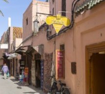 الهولندي بيرت فلينت الهولندي بيرت فلينت